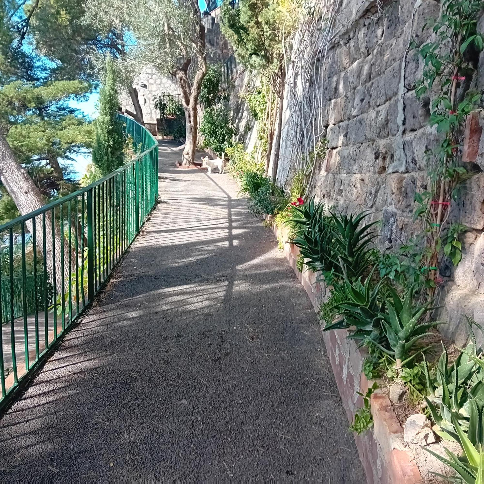 Villa La Galetta Vico Equense Bagian luar foto