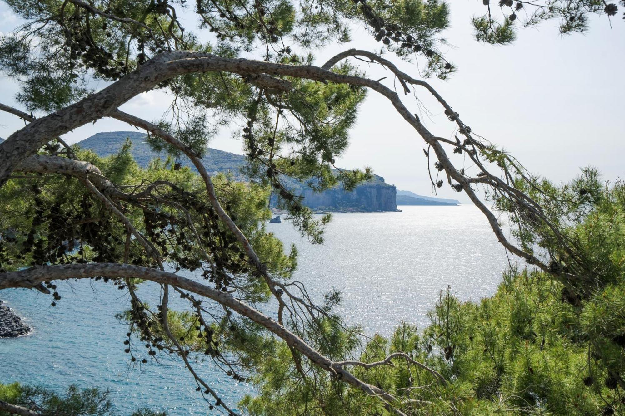Villa La Galetta Vico Equense Bagian luar foto